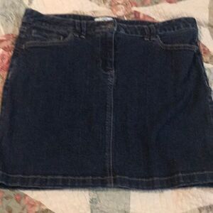 Ann Taylor loft skirt  